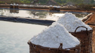 Çiftçilerin yeni hasat ettiği tuz dokuma bambu sepetlerine konur.. 