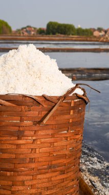 Çiftçilerin yeni hasat ettiği tuz dokuma bambu sepetlerine konur.. 