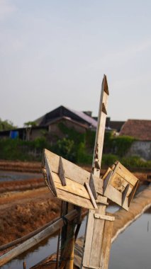 Keresteler su toplamak için bir vantilatöre toplanır. Tuz çiftçilerinin su çıkarmasını kolaylaştırır.. 