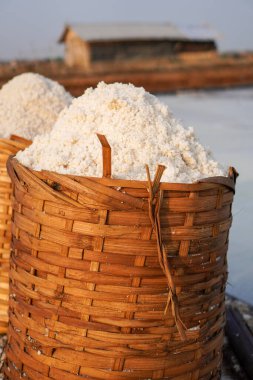 Çiftçilerin yeni hasat ettiği tuz dokuma bambu sepetlerine konur.. 