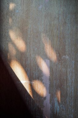 Güneş ışığı pencerelerden eve girer, ahşap duvarların yüzeyine gölgeler bırakır.. 