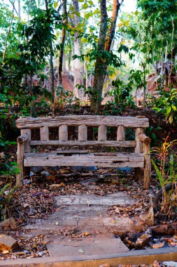 Paralel bir perspektiften görünen dağınık bir bahçede bank.. 