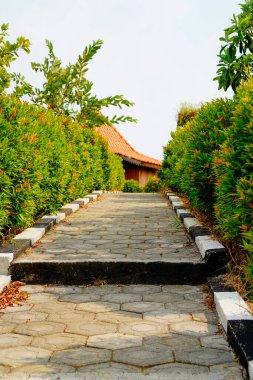 Yolun kenarında bitkilerin olduğu patika, paralel bir perspektifle aşağıdan görülebilir.. 