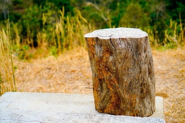 A tree trunk shaped to be used as a chair, seen up close against a background of weed grass.