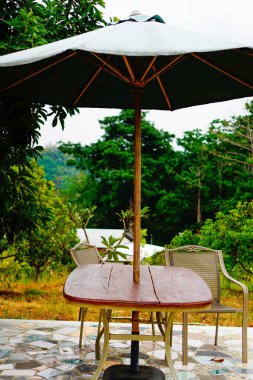 Arka planda bitkiler olan bir açık tablo geniş açılı görünümü ile yakın plan görüntüsü 