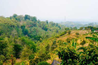 Tepelerin şeklinin geniş açılı görüntüsü 