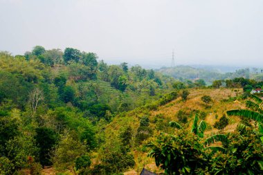 Tepelerin şeklinin geniş açılı görüntüsü 