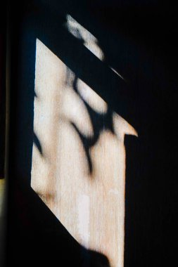 Güneş ışığı pencerelerden eve girer, ahşap duvarların yüzeyine gölgeler bırakır.. 