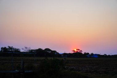 Kuru pirinç tarlalarındaki ağaçların arasından parlayan güneşin geniş açılı görüntüsüyle çok güzel görünüyor.. 
