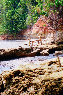 Güzel bir kıyı şeridinin üst manzarası 