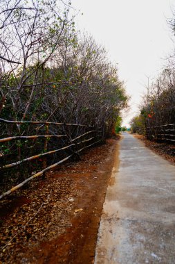 Yol kenarındaki kuru ağaçlarla çok güzel görünüyor.. 