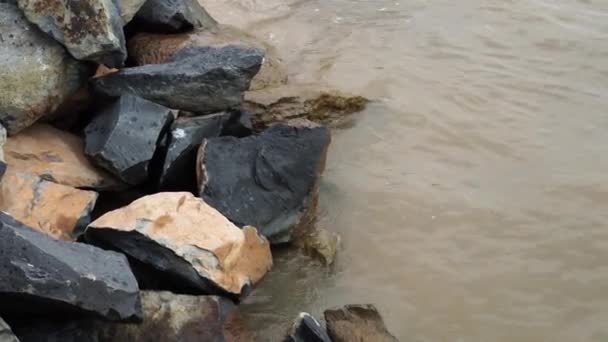 波に打たれたビーチの岩のクローズアップビュー — ストック動画