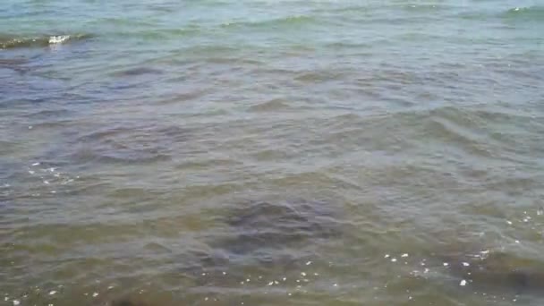 海岸線の波から美しく見える — ストック動画