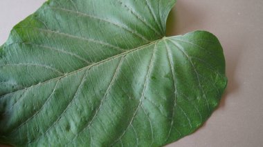 Masadaki yabani lahana çiçeklerinin yakın plan görüntüsü. 