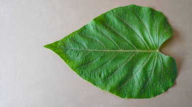 Masadaki yabani lahana çiçeklerinin yakın plan görüntüsü. 