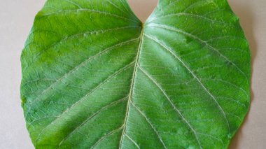 Masadaki yabani lahana çiçeklerinin yakın plan görüntüsü. 