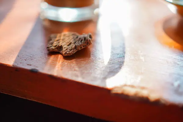 Close-up view of the coral stone on the table, with the shadow of the coffee glass on the table.
