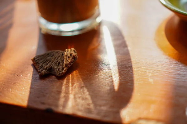 Close-up view of the coral stone on the table, with the shadow of the coffee glass on the table.