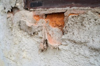 Binanın duvarları yaşla soyulmaya başlıyor. 