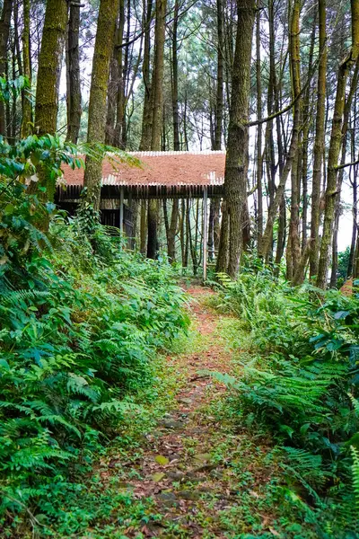 Endonezya Nın Bogor Ormanı Milli Parkı Nın Ortasında Bambu Kulübesi — Stok fotoğraf