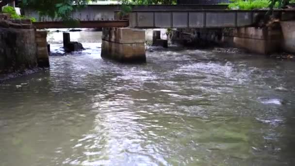 橋の下を流れる水が流れている川 — ストック動画