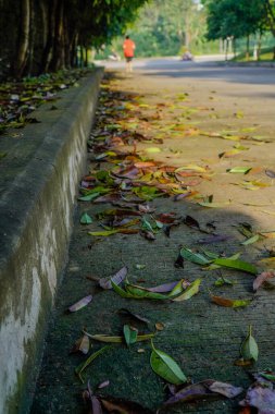 Yol kenarına düşen yapraklar Sabah kaldırımın kenarına.