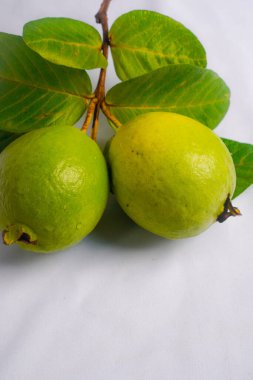 Guava izole edildi. Sarımsı yeşil derili guava meyvesi koleksiyonu ve beyaz arka planda izole edilmiş yapraklar.