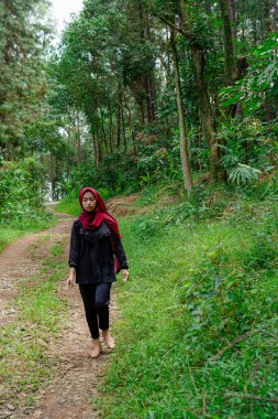 Kauçuk ormanda tek başına yürüyen bir kadın. Kayalık toprak yolda. Reklam odası için arka planda ağaçlar.