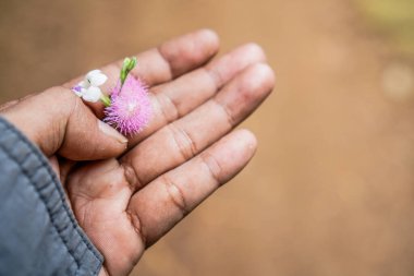 Utangaç bir prenses bir erkeğin elinde seçici bir odak ile