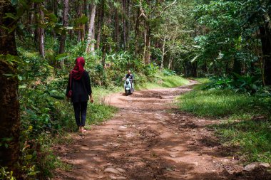 Jepara, Central Java, 17 Nisan 2024 - Ormanın ortasında yürüyen başörtüsü takan bir kadının dikiz görüntüsü.