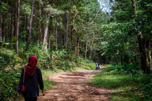 Jepara, Central Java, 17 Nisan 2024 - Ormanın ortasında yürüyen başörtüsü takan bir kadının dikiz görüntüsü.