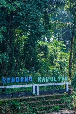 Jepara, Central Java, 16 Nisan 2024 - ormanın ortasında yosunlu yeşil su ile göl turizmi tabelası