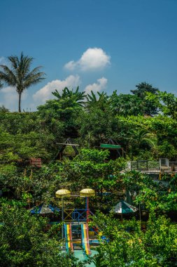 Ağaçlarla çevrili yüzme havuzundan çok uzak görünüyor. Yaz tatili konsepti.