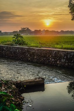 Pirinç tarlalarını sulamak için küçük bir nehirdeki su akışının yakın görüntüsü, günbatımında reklam için boş bir arkaplan.