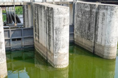 Kirli yeşil nehir suyuyla kaplı bir baraj..