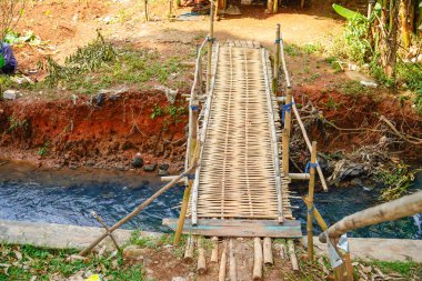Pirinç tarlalarına açılan dar bir kanalı kapsayan kırsal bir bambu köprüsü..