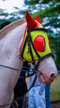 side view of a white horse, a white horse with a protective mask seen from the side. clipart