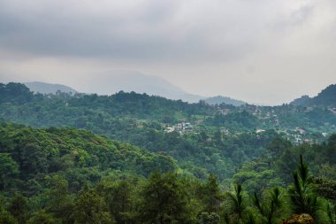 Sabah sisli güzel dağ manzarası.