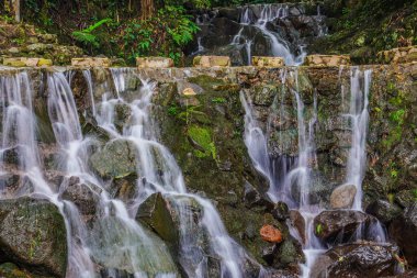 Bogor Ormanı 'ndaki güzel şelale, Batı Java.