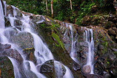 Bogor Ormanı 'ndaki güzel şelale, Batı Java.