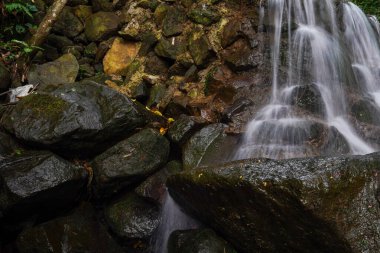 Bogor Ormanı 'ndaki güzel şelale, Batı Java.