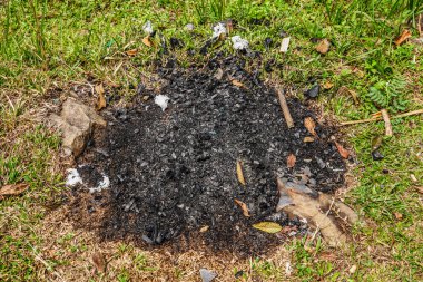 Çimenlerin üzerinde izole edilmiş yanık kalıntıları, siyah çimenler ve yeşil çimlerin üzerinde kömür kalıntıları..