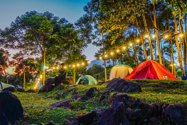 Gece görüş ormanın ortasında kamp yaparken, ormanın ortasında kamp çadırında ağaçlara asılı ışıklarla.,