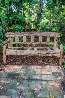 Ormandaki eski ahşap bank, orman zeminli ahşap bank, arka planda ağaçlar olan bir orman bölgesinde yer alıyor. Tezgah eski ve eski görünüyor. Atmosfer temiz.