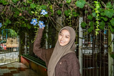 Tesettürdeki kadın elinde hala ağaçta asılı duran bir Madia çiçeği (thunbergia grandiflora) tutuyor.,