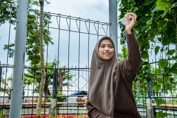 Tesettürdeki kadın elinde hala ağaçta asılı duran bir Madia çiçeği (thunbergia grandiflora) tutuyor.,