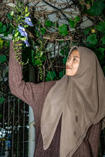 Tesettürdeki kadın elinde hala ağaçta asılı duran bir Madia çiçeği (thunbergia grandiflora) tutuyor.,