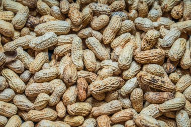 Tam çerçeve fıstık, bir frezede tuzlanmış fasulye, bir frezede bir grup fıstık..