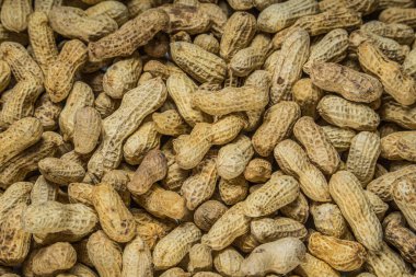 Tam çerçeve fıstık, bir frezede tuzlanmış fasulye, bir frezede bir grup fıstık..