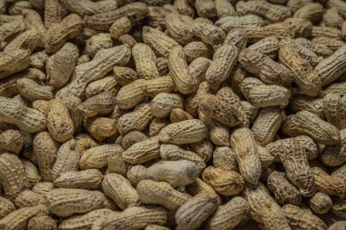 Tam çerçeve fıstık, bir frezede tuzlanmış fasulye, bir frezede bir grup fıstık..